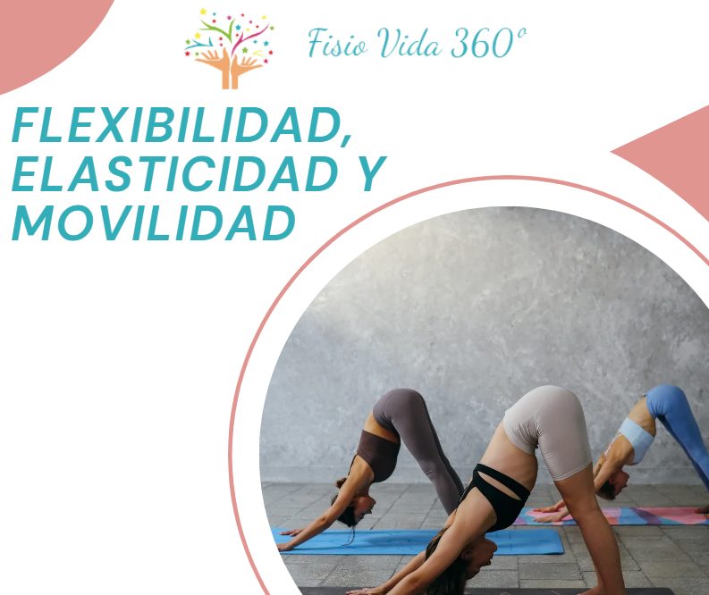 flexivilidad elasticidad